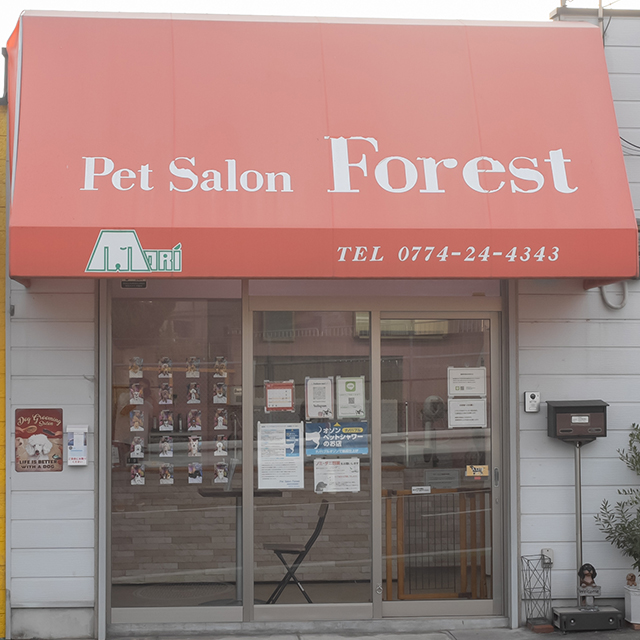 Petsalon Forest